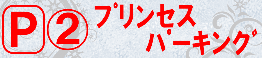 ﾌﾟﾘﾝｾｽﾊﾟｰｷﾝｸﾞ